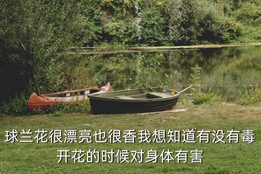 球兰花很漂亮也很香我想知道有没有毒开花的时候对身体有害