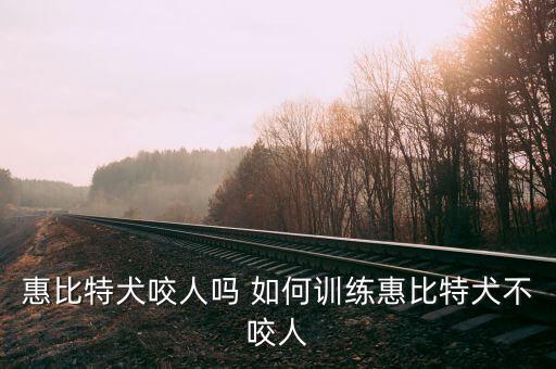 惠比，惠比特犬的介绍