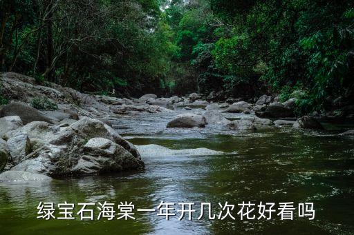 绿宝石海棠一年开几次花好看吗