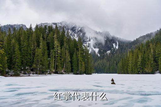 红掌寓意，红掌代表什么