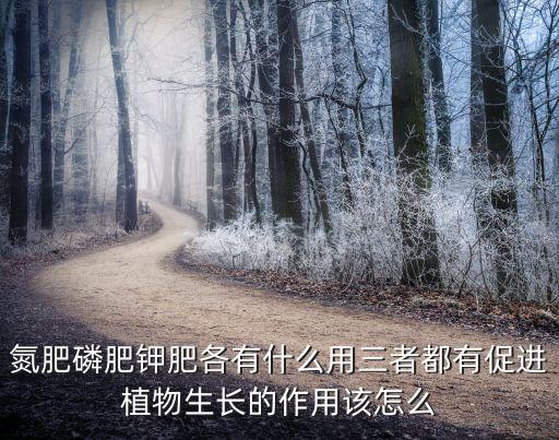 氮磷钾肥，氮肥磷肥钾肥各有什么用三者都有促进植物生长的作用该怎么