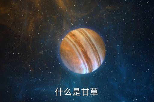 什么是甘草