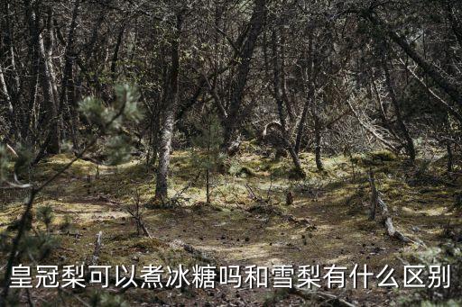 皇冠梨可以煮冰糖吗和雪梨有什么区别