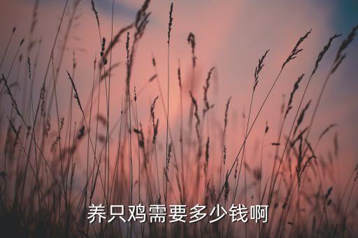 养只鸡需要多少钱啊
