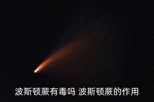 波士顿蕨，波士顿蕨怎么养