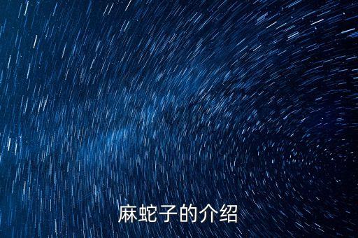 麻蛇子的介绍