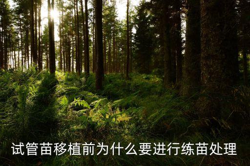 炼苗，甘薯炼苗名词解释