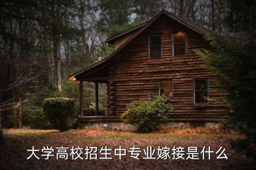大学高校招生中专业嫁接是什么