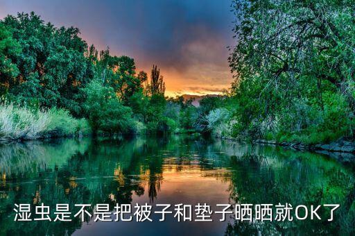 湿虫，湿湿虫又叫什么名字