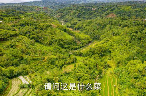 请问这是什么菜
