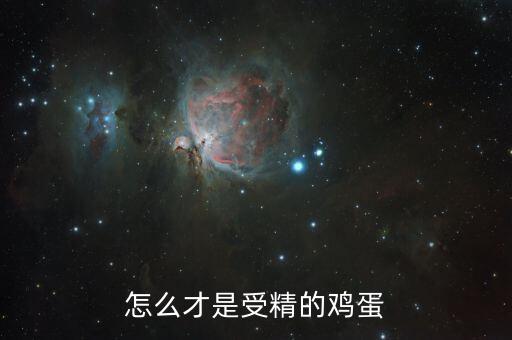 怎么才是受精的鸡蛋