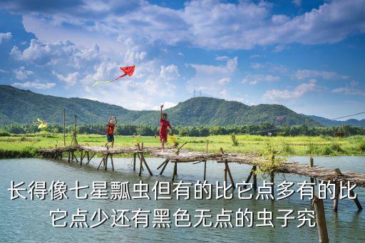 二星瓢虫，被二十八星瓢虫咬了怎么办