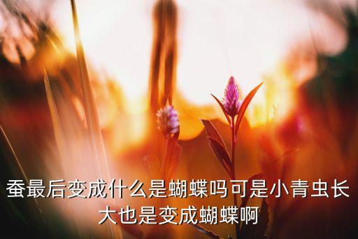 蚕最后会变成什么，蚕吐丝后最终会变成什么昆虫