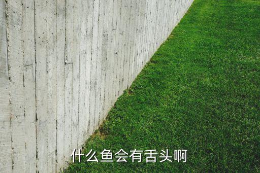 舌头鱼，什么鱼会有舌头啊