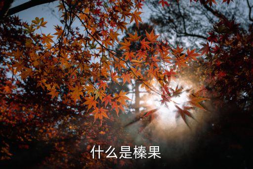 什么是榛果