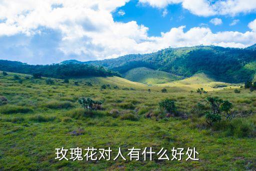 玫瑰花功效，干玫瑰花泡水有什么好处