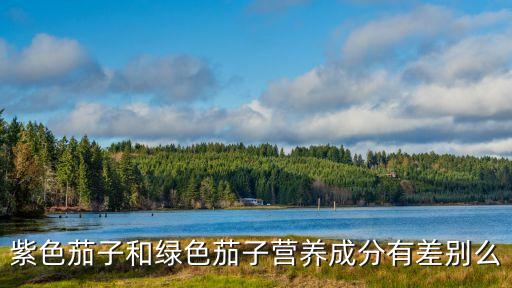 紫色茄子和绿色茄子营养成分有差别么
