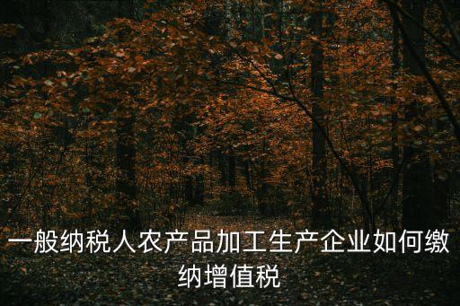 一般纳税人农产品加工生产企业如何缴纳增值税
