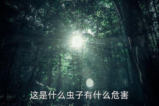 葱蓟马，这是什么虫子有什么危害