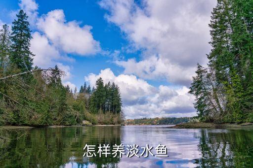 怎样养淡水鱼