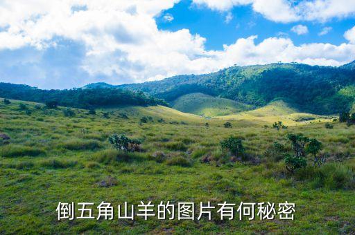 倒五角山羊的图片有何秘密