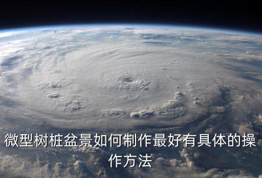 微型树桩盆景如何制作最好有具体的操作方法
