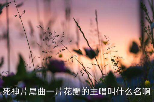 一片花瓣，一片花瓣的花是什么花