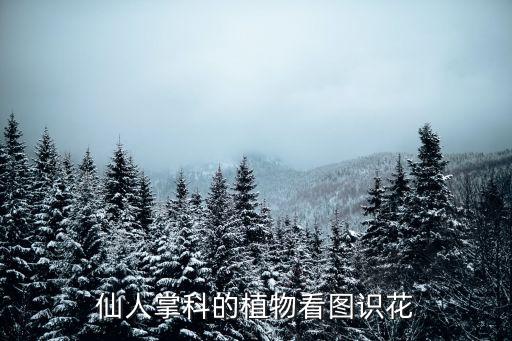 仙人掌科的植物看图识花