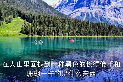 在大山里面找到一种黑色的长得像手和珊瑚一样的是什么东西