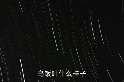 乌饭叶什么样子