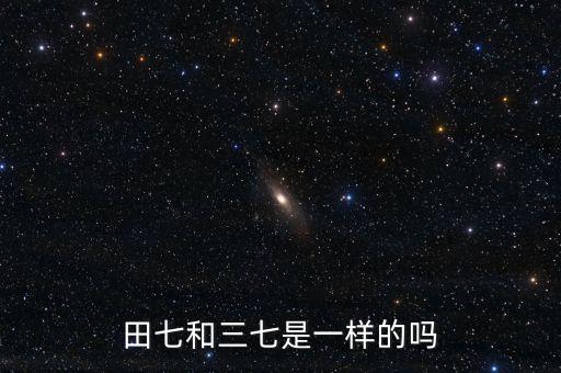 田七和三七是一样的吗