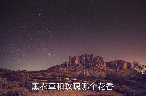 什么花香，一什么花香
