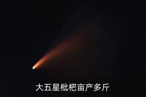 大五星枇杷亩产多斤