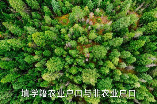 学校填表填农业怎么填，填学籍农业户口与非农业户口