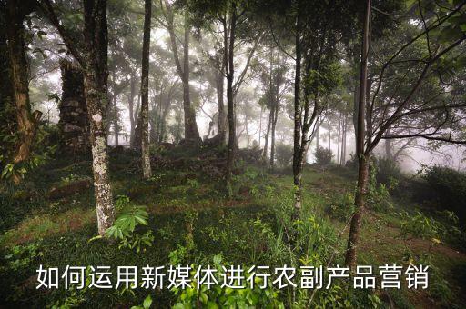 农业新媒体怎么玩赚钱，手机怎样赚钱