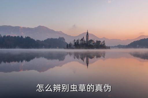 怎么辨别虫草的真伪
