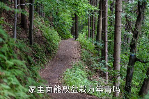 家里面能放盆栽万年青吗