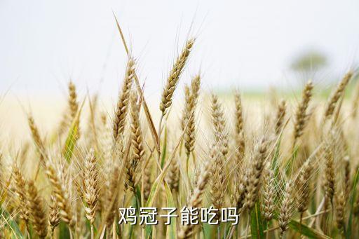 鸡冠子能吃吗