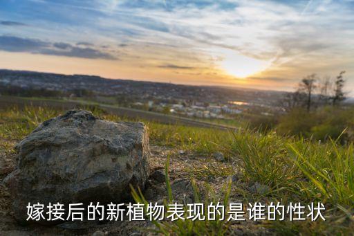 嫁接后的新植物表现的是谁的性状