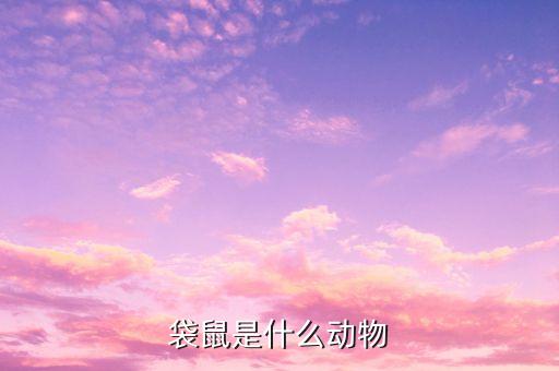 袋鼠，袋鼠是什么动物