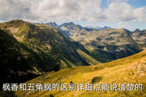 枫香，枫香在什么季节