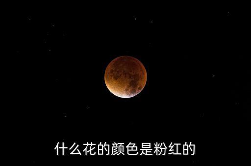 什么花的颜色是粉红的