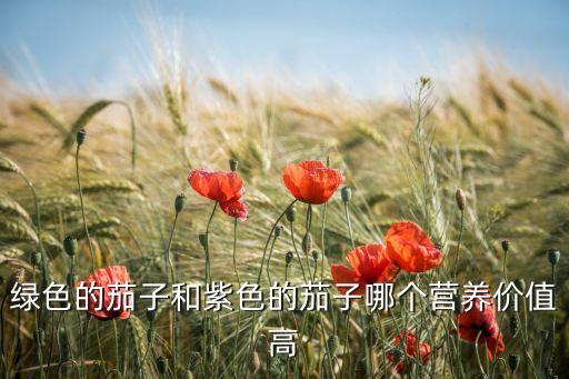 绿色的茄子和紫色的茄子哪个营养价值高