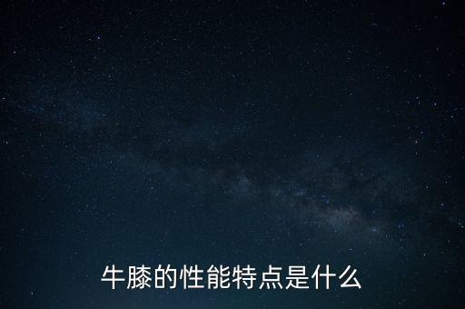 什么是牛蒡，洋蓟花是什么花