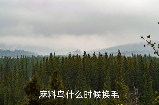 麻料鸟什么时候换毛