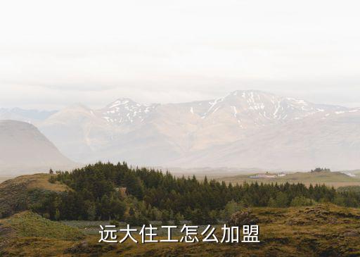 远大住工怎么加盟