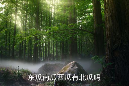 都有什么瓜，东瓜南瓜西瓜有北瓜吗