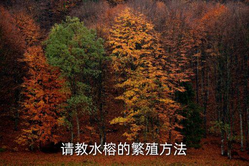 水榕，请教水榕的繁殖方法