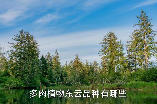 东云，东云多肉开花吗会死掉吗
