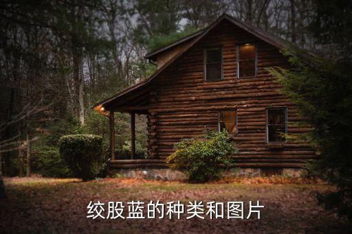 杨兰花图片，请高人看下兰花种类附图片